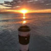 laurise3